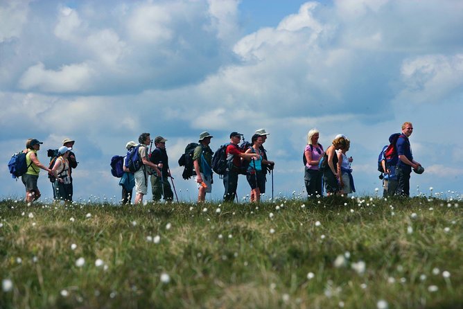 1/2 Day Pilgrim's Walk on St Patrick's Way and Lunch - The Saint Patrick Centre starts the story