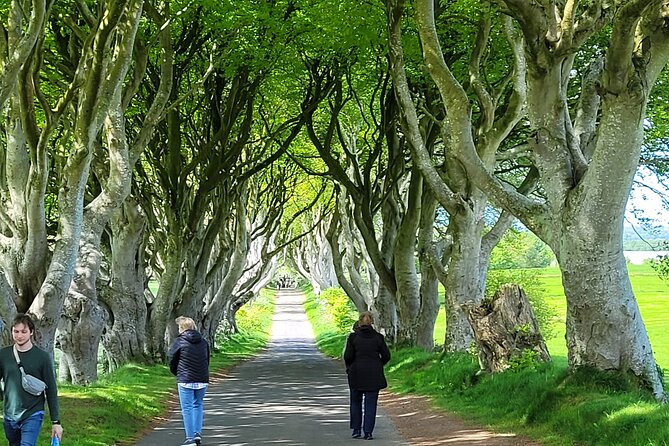 4 Hours Private Belfast City Tours - Queen’s University and Belfast’s grander face