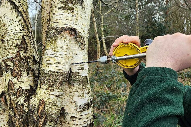 Adult Foraging Walk & Bushcraft Cookery Course for Beginners - Key points to know