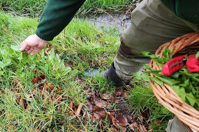 Adult Foraging Walk & Bushcraft Cookery Course for Beginners - Bushcraft skills that keep the afternoon moving