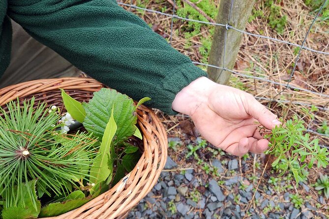 Adult Foraging Walk & Bushcraft Cookery Course for Beginners - Why the small group size matters