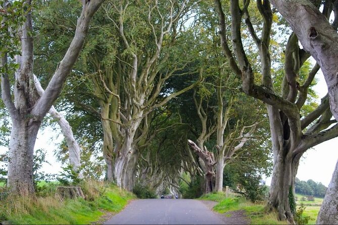 Experience the Antrim Coast and the Land of Giants - Private Tour - Your driver shapes the day