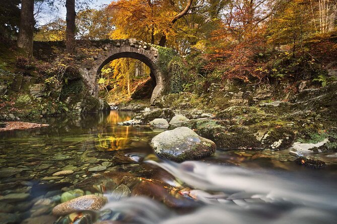 From Belfast: Game of Thrones Winterfell Locations Trek - Tollymore Forest and the Haunted Forest