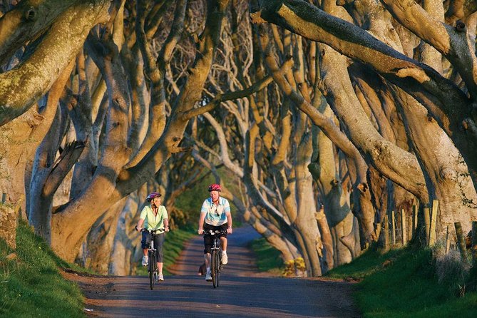 From Belfast-Giants Causeway, Dunluce Castle and Dark Hedges tour - Price and value at $69.45