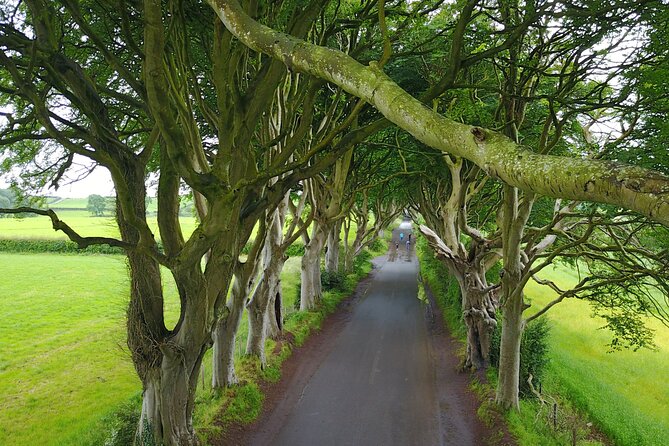 Full-Day Private Giant's Causeway Experience - Why a private North Coast day works well