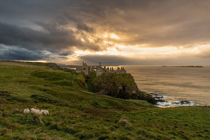 Full Day Private Luxury Tour of Causeway Coast (Giants Causeway) - Why this private Causeway Coast tour works