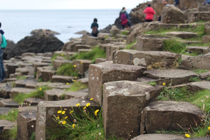 Game of Thrones and Giant's Causeway Day Tour from Belfast - What the Game of Thrones focus is really like