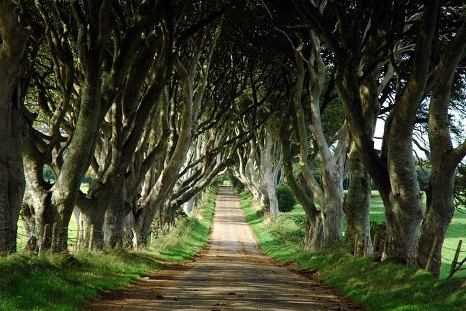 Game of Thrones and Giant's Causeway Day Tour from Belfast - Meeting the guide in central Belfast