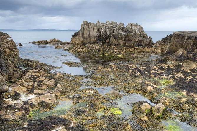 Game of Thrones and Giant's Causeway Full-Day Tour from Belfast - What kind of day is this?