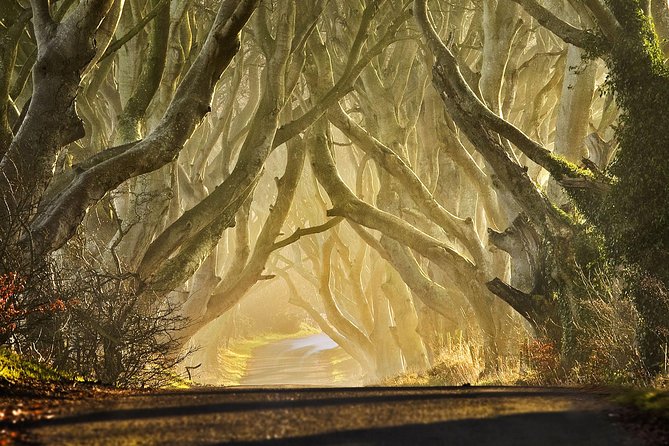 Game of Thrones - Private Audi A6 tour with Richard the Wildling - Ballintoy Harbour, the real Iron Islands