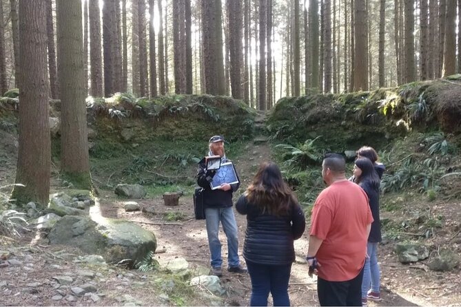 Game of Thrones - Private Audi A6 tour with Richard the Wildling - The Dark Hedges and the King’s Road
