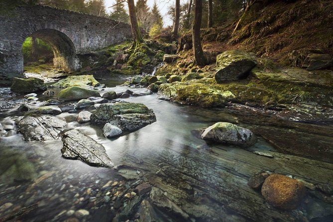 Game of Thrones - Tollymore Forest Trek - A small group and a guide-led pace