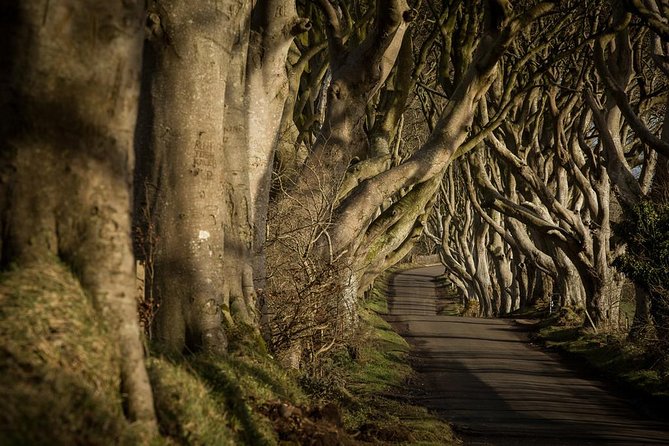 Giant's Causeway and more including Titanic Experience Ticket Tour from Belfast - One day, four famous Northern Ireland sights