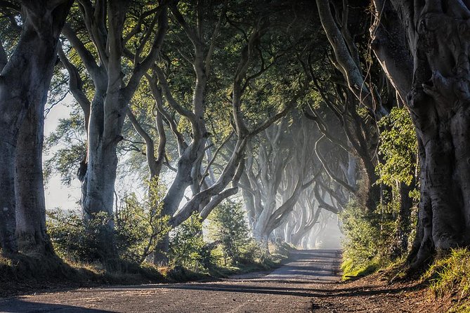 Giant's Causeway and more including Titanic Experience Ticket Tour from Belfast - The Dark Hedges: a quick Game of Thrones stop