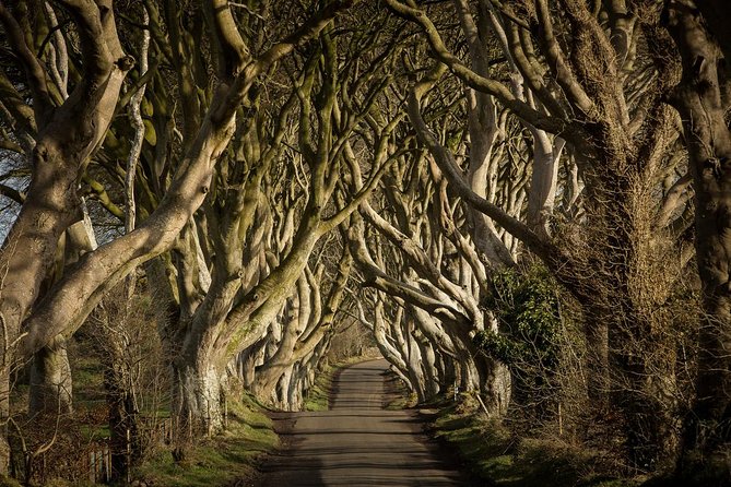 Giant's Causeway and Whisky Distillery tasting tour from Belfast - Two hours among the Giant’s Causeway columns