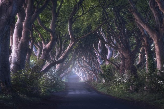 Giants Causeway & Game of Thrones Tour from Belfast - Ballintoy Harbour, the Iron Islands