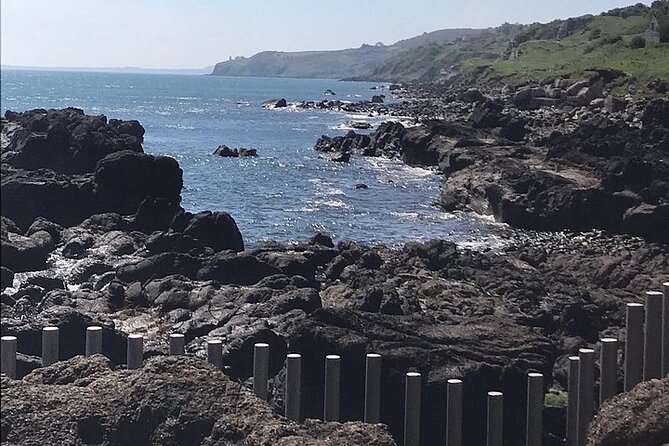 Giants Causeway ~ one stop tour - What your hour at Giant’s Causeway gives you