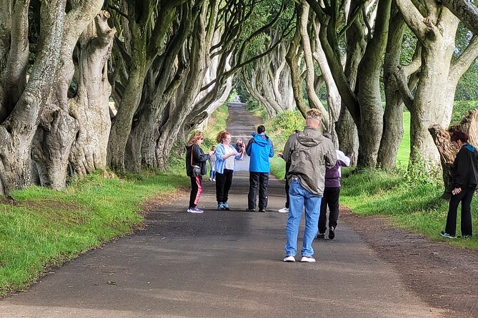 Giants causeway private tour 1 to 7 people - The Dark Hedges: famous trees, brief visit