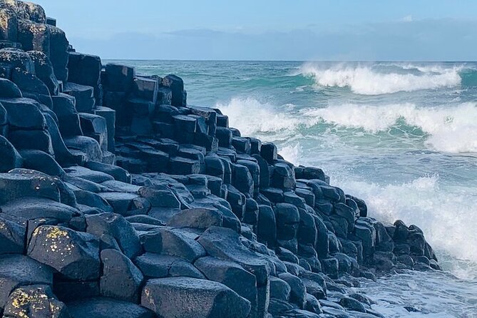 Giants Causeway private tour from Belfast - Key points to know before you book