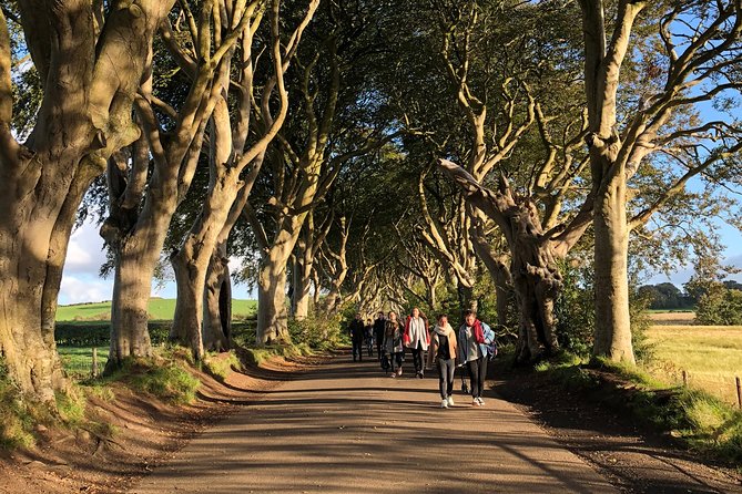 Giants Causeway, Rope Bridge, Carrickfergus Castle and Dark Hedges Tour - Bushmills is a stop, not a distillery tour