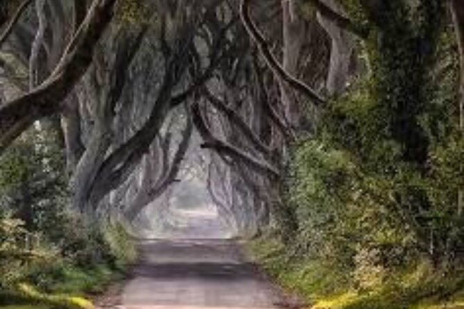 Giants Causeway Tour From Belfast including Game of thrones sites - Dunluce Castle above the sea