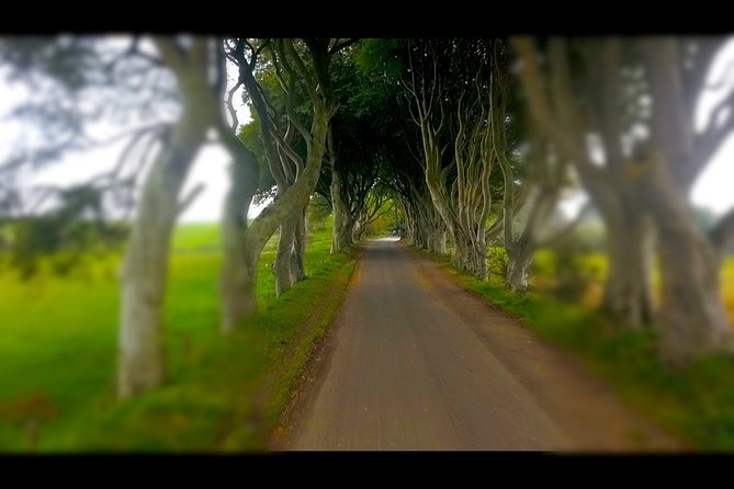 Guided Day Tour of Giant's Causeway from Belfast by Comfortable Coach - Dunluce Castle: ten minutes with a dramatic view
