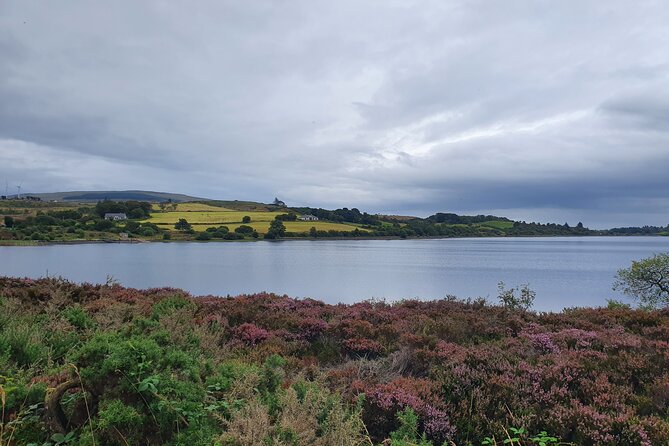 Ireland North Coast MEGA Trip for up to 8 Passengers - A flexible driver can make or break a long day