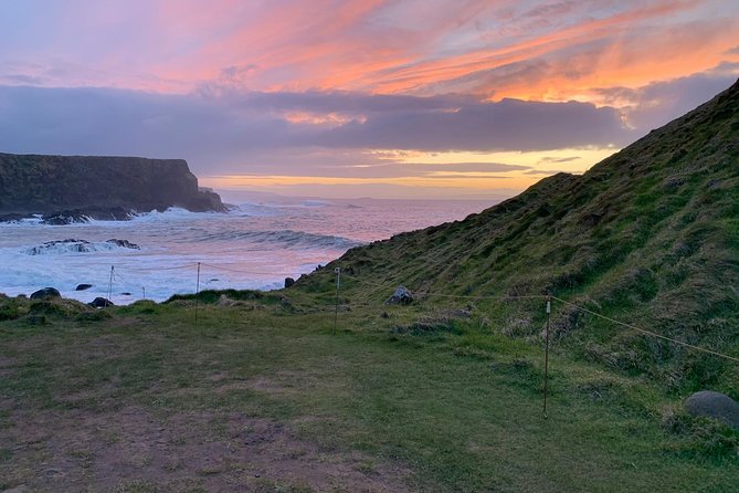 Northern Highlights Full-Day Guided Tour in Northern Ireland - Why this private Belfast tour works so well