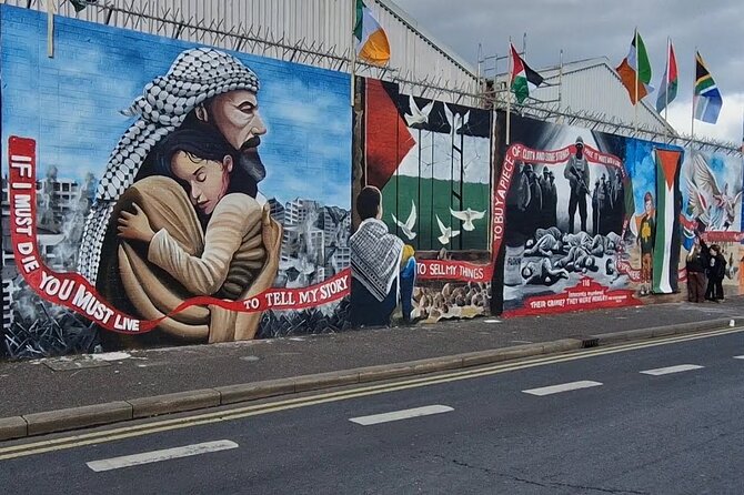Private Belfast city & peace wall tour - Belfast Castle in about 30 minutes