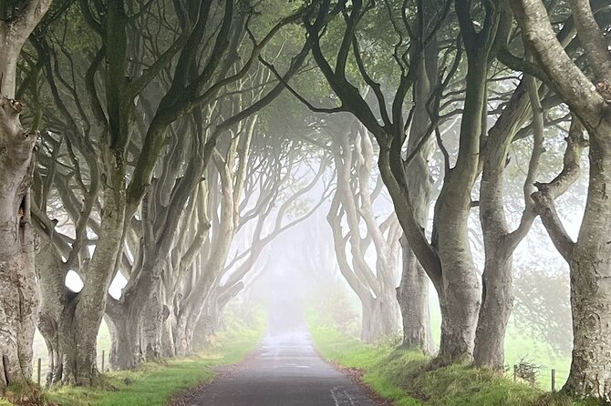 Private Coast Tour in Belfast - Who will enjoy this Belfast coast day