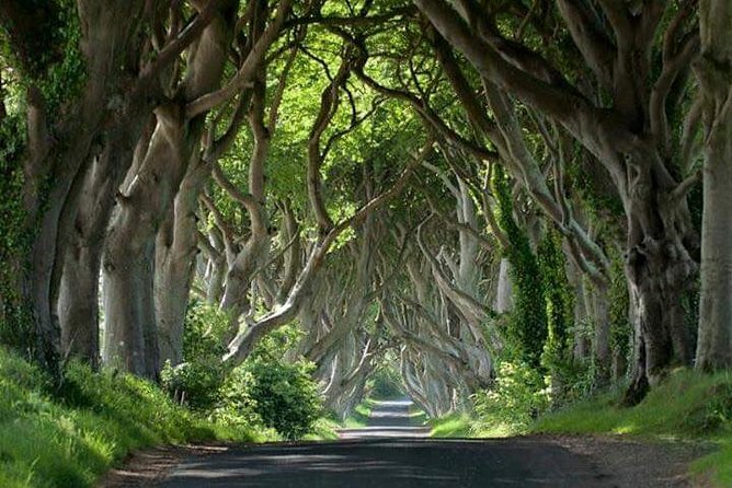 Private Game of Thrones including Giant's Causeway Causeway Coast Rope Bridge - A private route along Northern Ireland’s Causeway Coast
