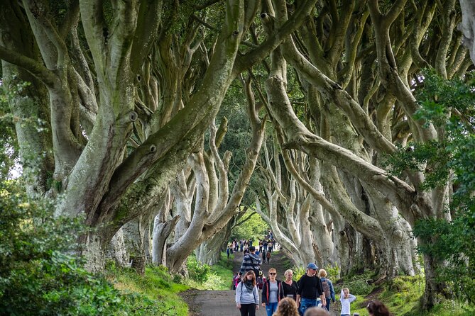 Private Giants Causeway Tour From Belfast - From Belfast to the Antrim Coast Road