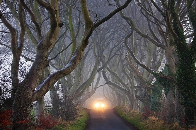 Private Luxury Mercedes Rope Bridge Giants Causeway Coastal Tour - Dark Hedges and the Game of Thrones trail