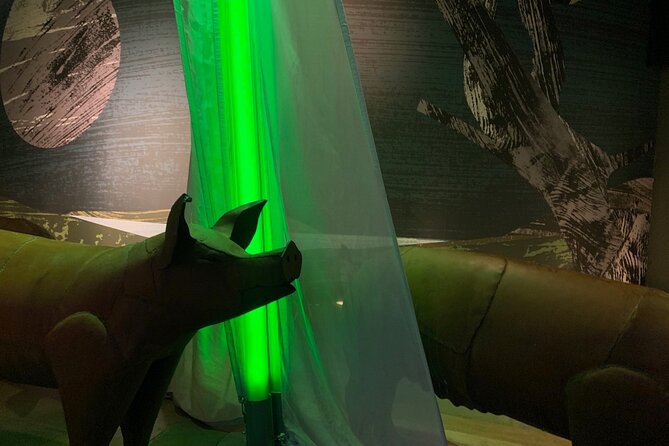 Saint Patrick Centre Exhibition experience - Who will enjoy this experience most