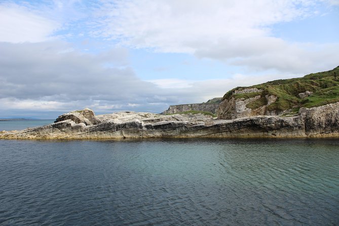 Small Group Giant's Causeway Day Tour from Belfast - The Dark Hedges and a walk-through detail